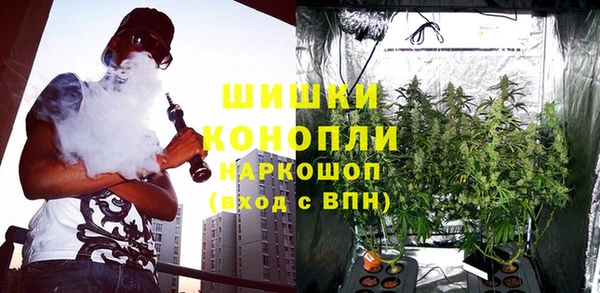 винт Армянск