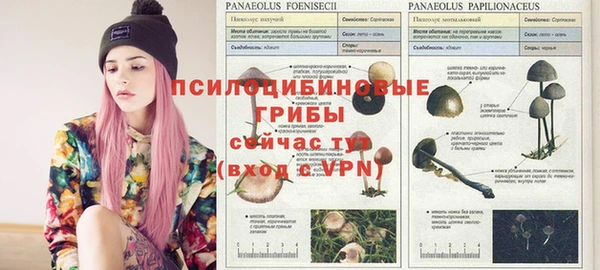 соль курить ск Аркадак