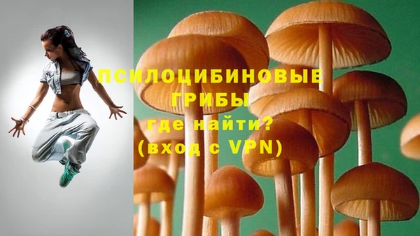 герыч Арсеньев
